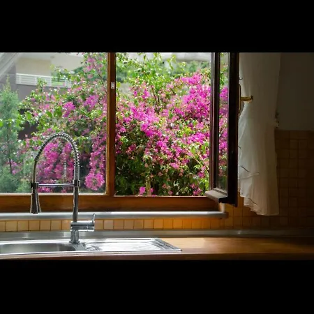 Apartment , Soeguetlue *