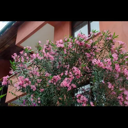 Apartment , Soeguetlue